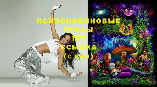 MDMA Premium VHQ Медвежьегорск