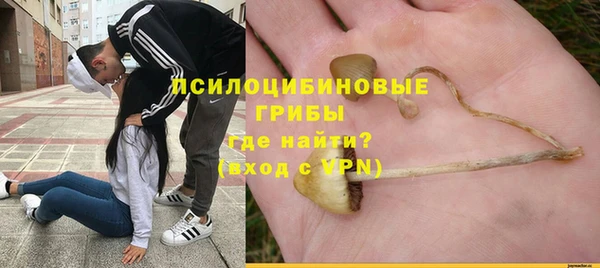 MDMA Premium VHQ Медвежьегорск
