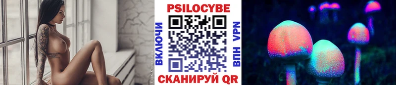 как найти наркотики  Стародуб  Галлюциногенные грибы Psilocybe 