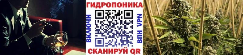 Каннабис SATIVA & INDICA  Стародуб 